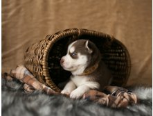 &#8470;1 Девочка