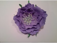 20150915 000456.jpg
