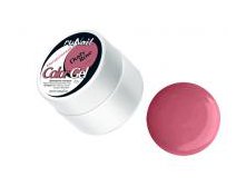 Gel RuNail cvetnoj Dusty Rose pripudrennaja roza min.jpg