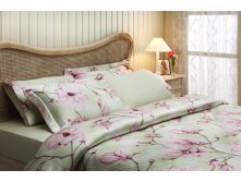 Tivolyo home  CLARIS 1,5   .jpg