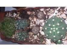 20150903 211254.jpg