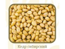 Кедровые орехи чищеные.jpg