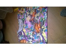 фото предыдущей модели