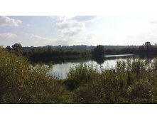 20150915 140121.jpg