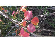 20150915 143957.jpg