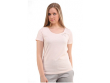   . MK229501 () 230 ..png