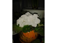 Снежная Королева. 7 деток