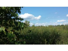 20150915 133359.jpg