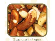 Бразильский орех.jpg