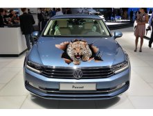 Car sticker on Volkswagen-Passat.jpg