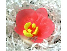 Орхидея розовая - 160 руб.