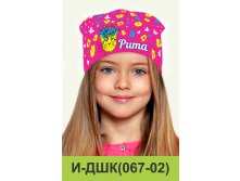 И-ДШК(067-02).jpg