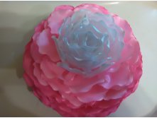 IMG 20150911 162537.jpg