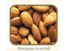 Миндаль.jpg