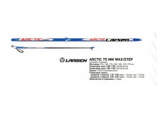  . Larsen Arctic