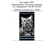 3875.jpg