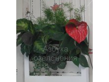 Яркая весна.jpg