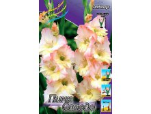 562b3bb533a52 818rub. gladiolus pink soledozakazyvaem tolko tselymi upakovkami po 8 sht..jpg