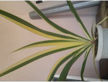 20151005 113916 HDR.jpg