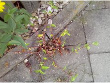 IMG 20150920 184424.jpg