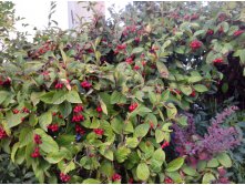 IMG 20150920 182859.jpg