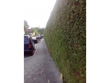 IMG 20150920 184053.jpg