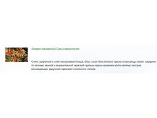 Амарант трехцветный само совершенство 20шт.уп24руб.jpg
