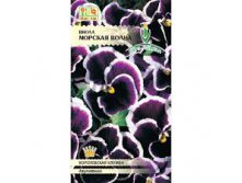 Виола Морская волна 5шт 36.jpg