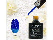 Bluesky.TS.31