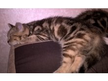 WP 20151031 22 35 39 Pro.jpg