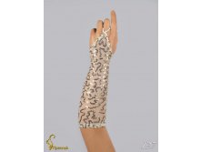 127 an4200s-00047.jpg