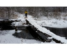 20151115 115750.jpg