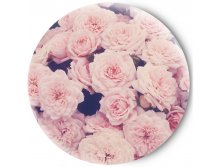 80р Карманное зеркало одностор Sweet roses розов
