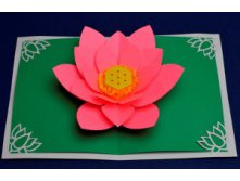 Mothers Day Lotus Flower Pop Up Card pink-300x198.jpg