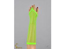 049 an42026-00040.jpg