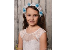 IPT2010-00016 IPT2-010    250.