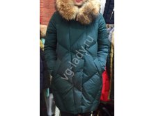 50868 (1).jpg   7800.