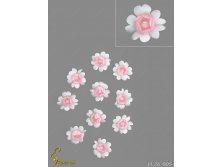 Vl26005-00076 VL26-005 .jpg