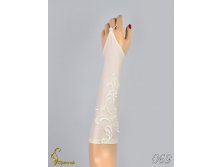 069 an42035-00007.jpg