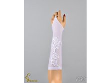 066 an42034-00016.jpg