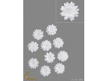 Vl26006-00016 VL26-006 .jpg