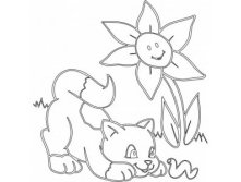 A4 Котик.jpg