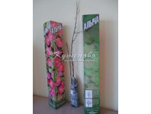 Картонная упаковка	30-60см	260.00 руб.