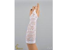 144 an42019-00016 (3).jpg