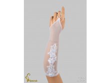 135 an4201b-00016.jpg