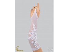 140 an42010-00016.jpg