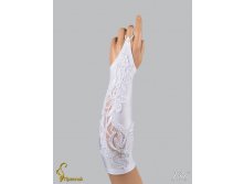 136 an4201e-00016.jpg