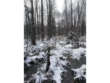 20151115 135102.jpg