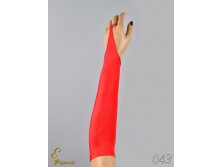 043 an42017-00067.jpg