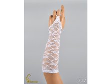 144 an4201000016.jpg